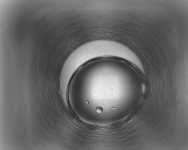 X0000060780079200511141428