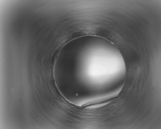 X0000060780084200511141428