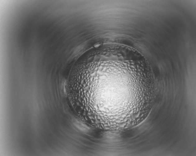 X0000060780094200511141428