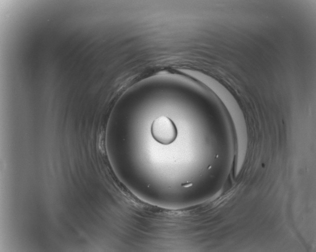 X0000060780096200511141428