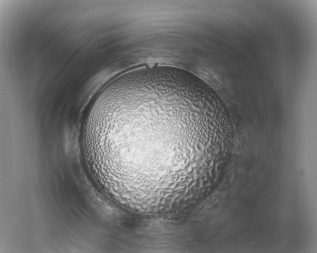 X0000060780098200511141428