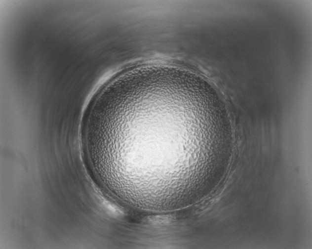 X0000060780102200511141428