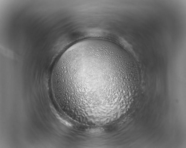 X0000060780106200511141428