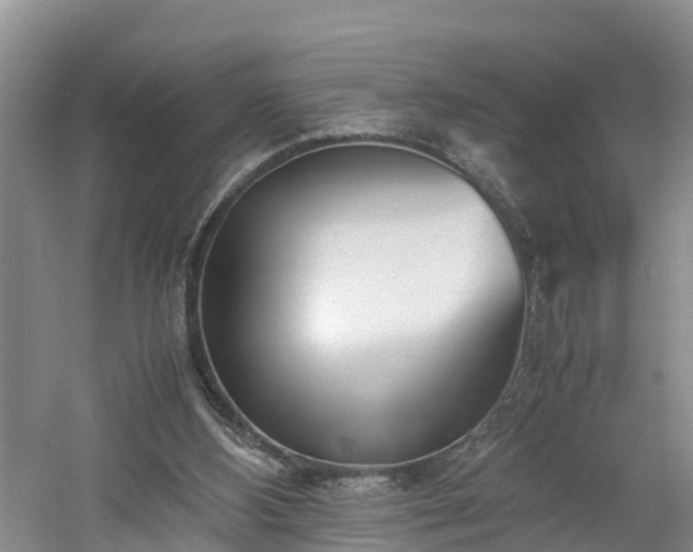 X0000060780108200511141427