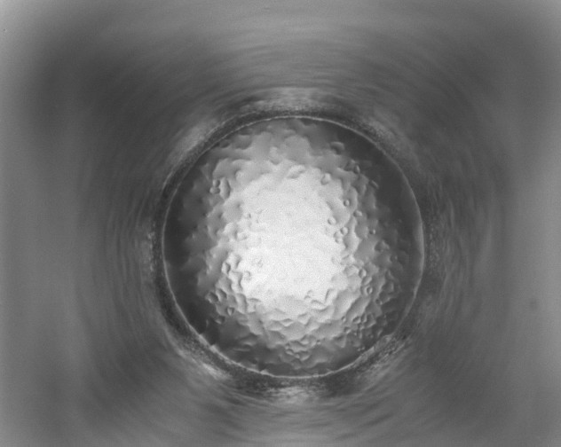 X0000060780111200511141427