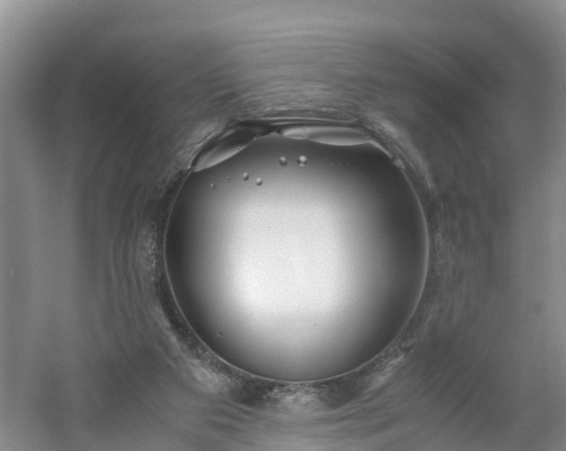 X0000060780113200511141427