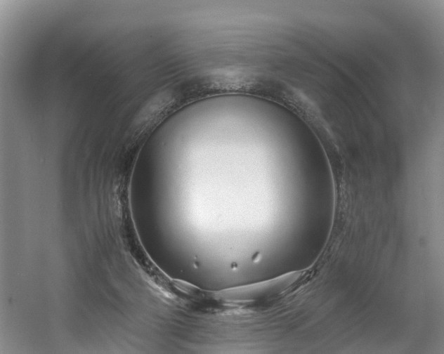 X0000060780114200511141427