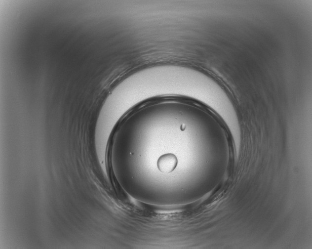 X0000060780117200511141427