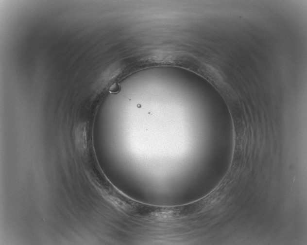 X0000060780120200511141427