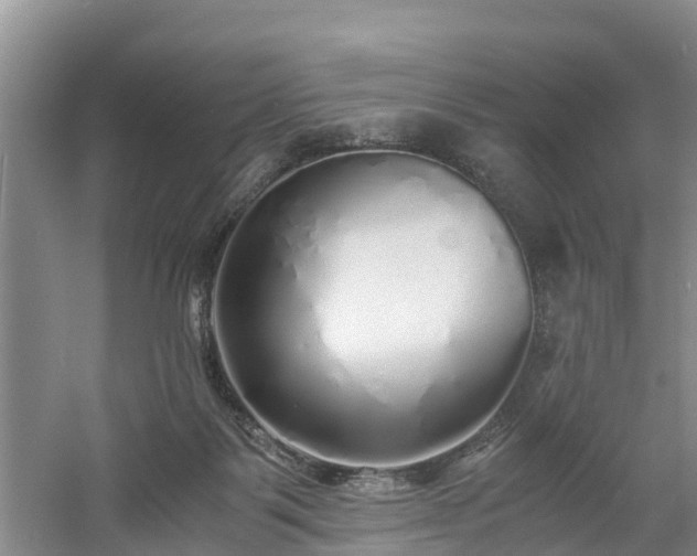 X0000060780123200511141427