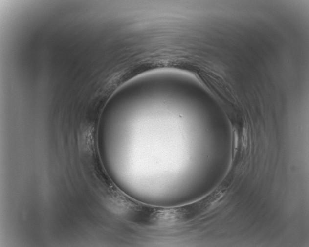 X0000060780127200511141427