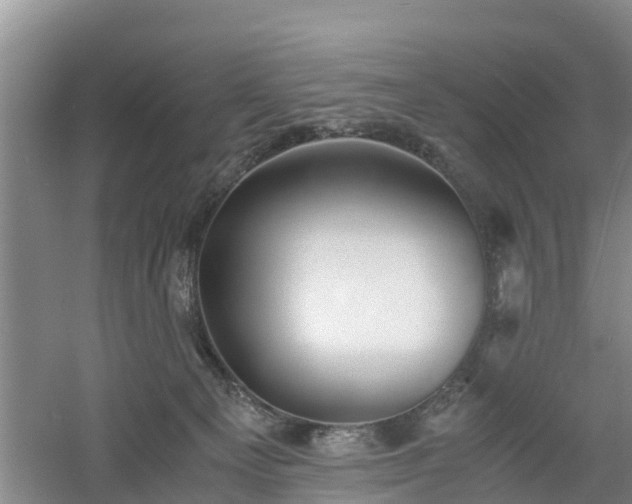 X0000060780129200511141427