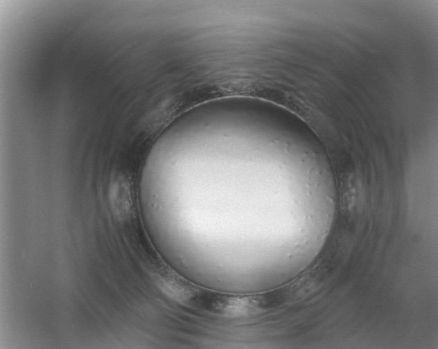 X0000060780130200511141427