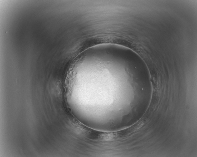 X0000060780131200511141427