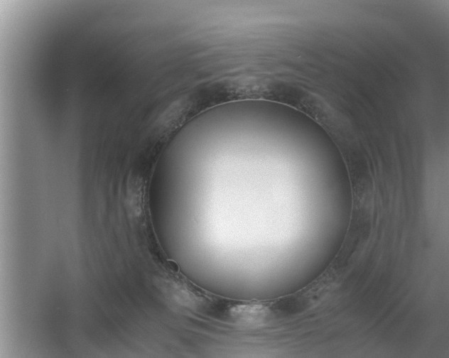 X0000060780133200511141427