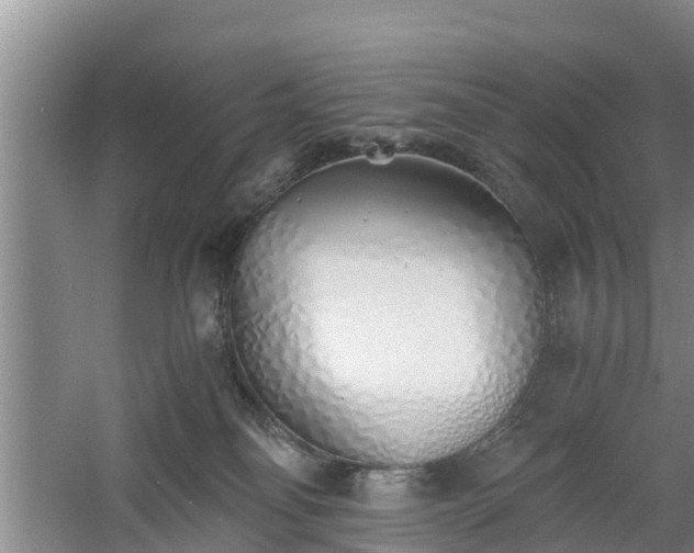 X0000060780134200511141427