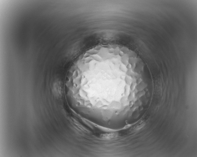 X0000060780135200511141427