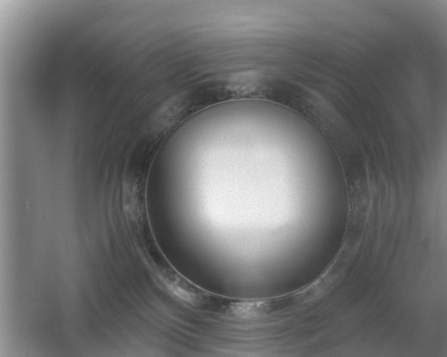 X0000060780136200511141427