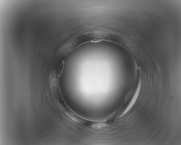 X0000060780137200511141427