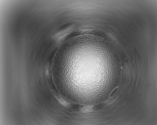 X0000060780138200511141427