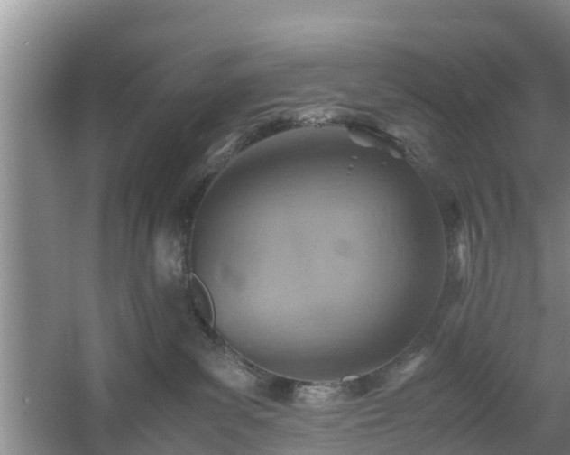 X0000060780139200511141427