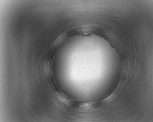 X0000060780140200511141427