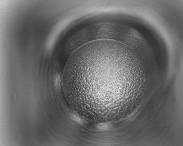 X0000060780142200511141427