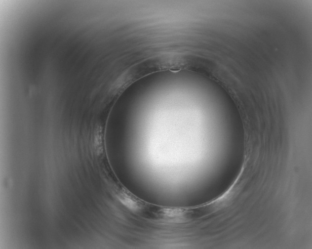 X0000060780144200511141427