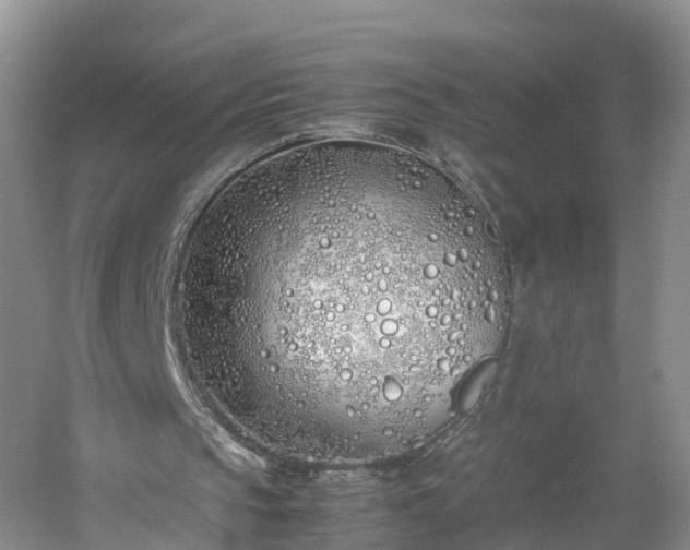 X0000060780145200511141426