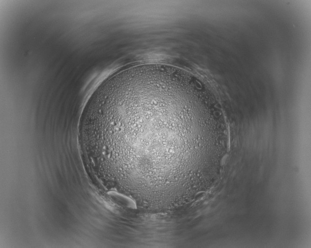 X0000060780147200511141426