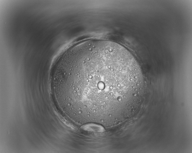 X0000060780149200511141426