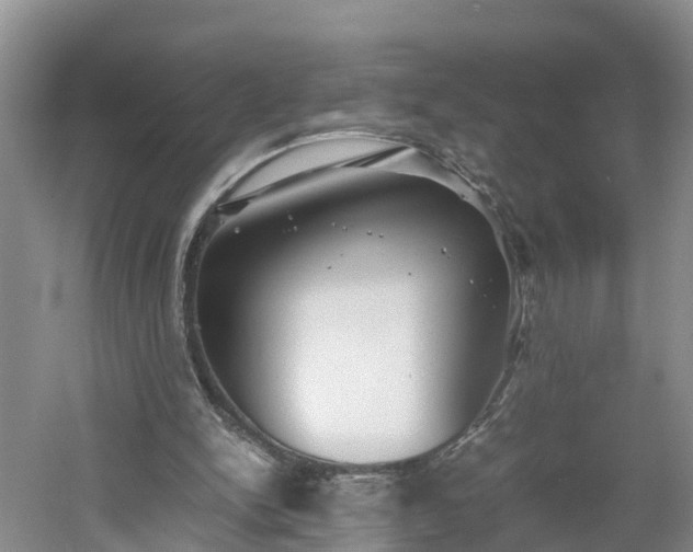 X0000060780150200511141426