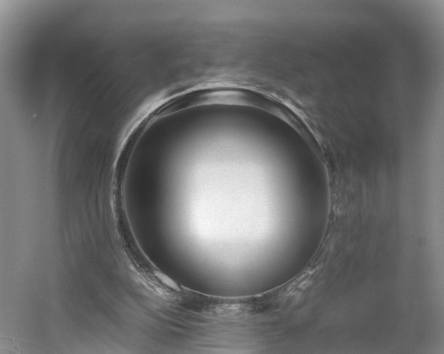 X0000060780152200511141426