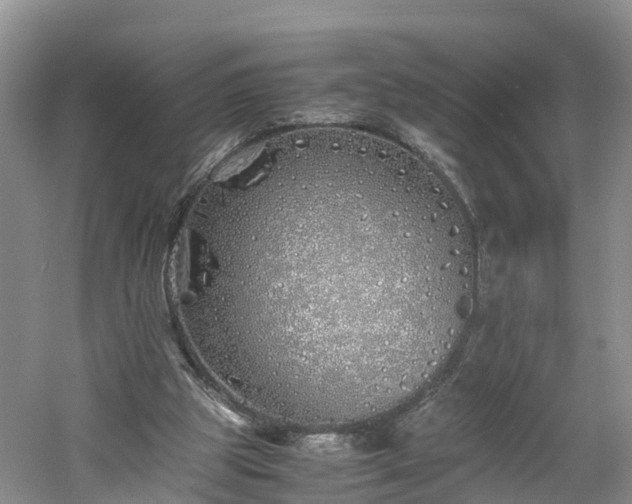 X0000060780153200511141426