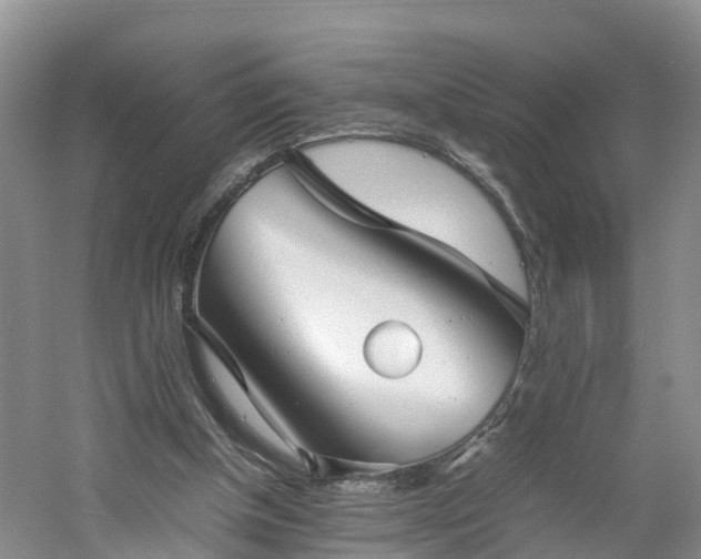 X0000060780154200511141426