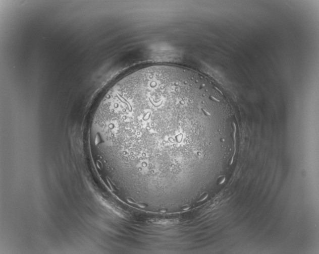 X0000060780155200511141426