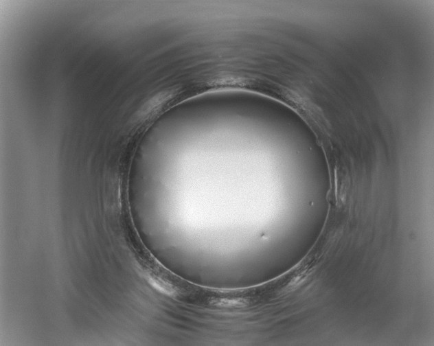 X0000060780157200511141426