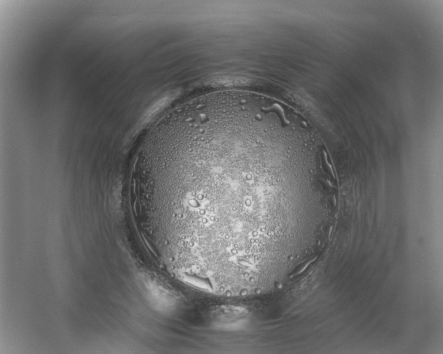 X0000060780159200511141426