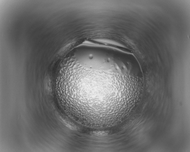 X0000060780161200511141426