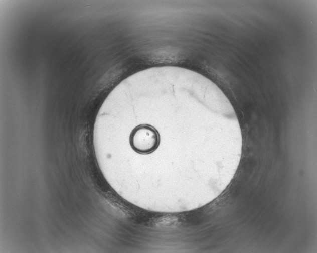 X0000060780162200511141426