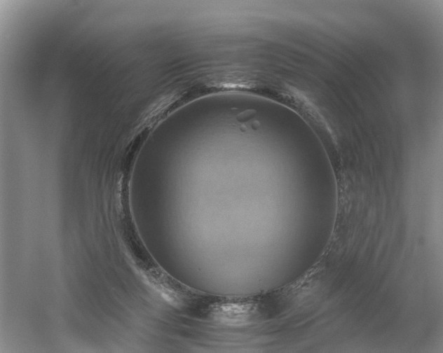 X0000060780163200511141426