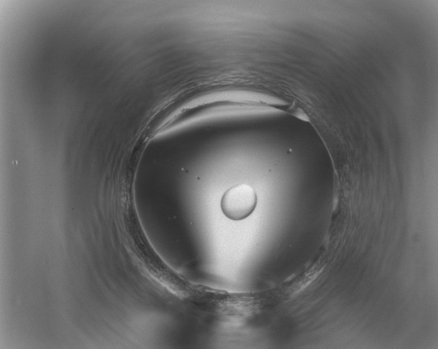 X0000060780164200511141426