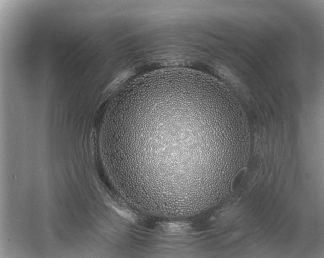 X0000060780165200511141426