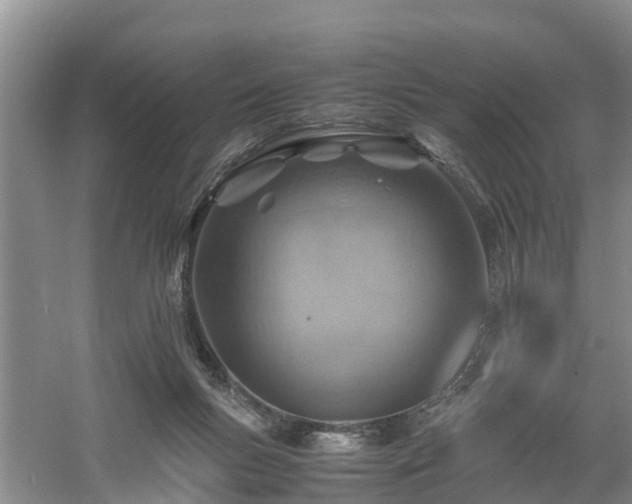 X0000060780167200511141426