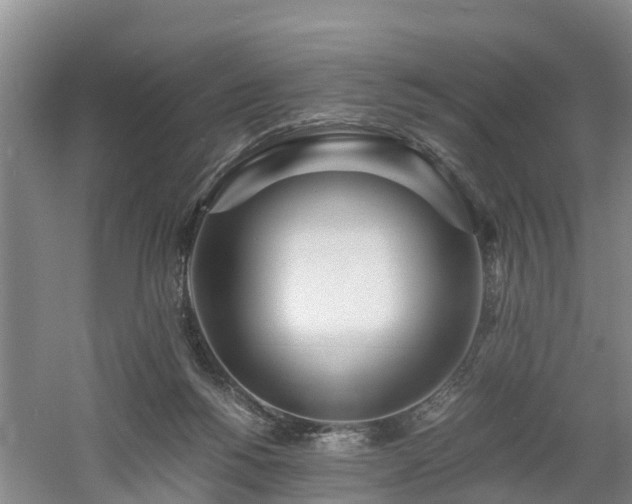 X0000060780168200511141426