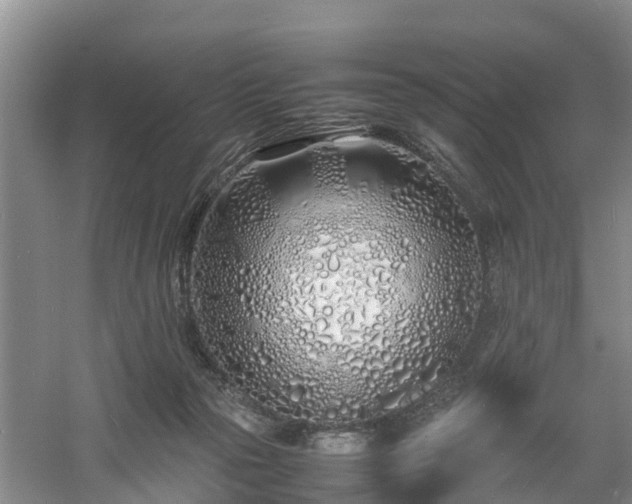 X0000060780169200511141426