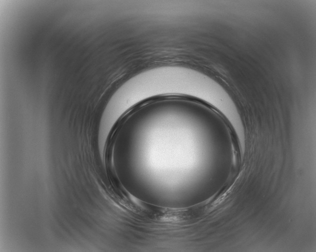 X0000060780171200511141426