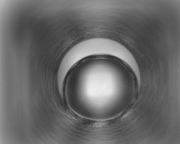 X0000060780172200511141426