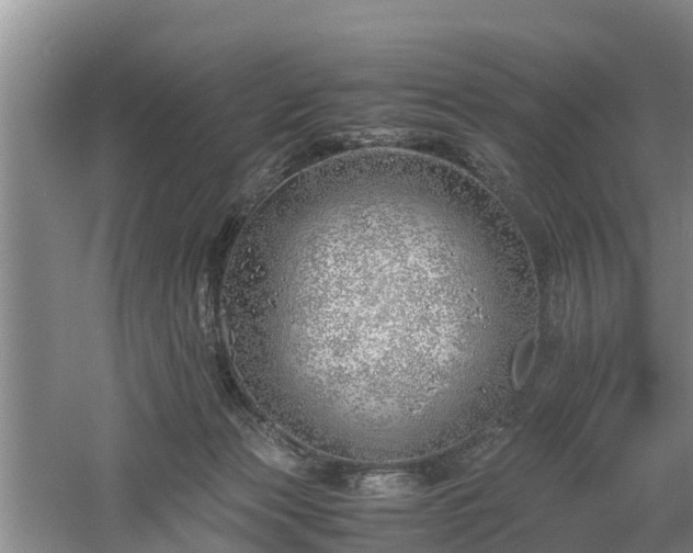 X0000060780173200511141427