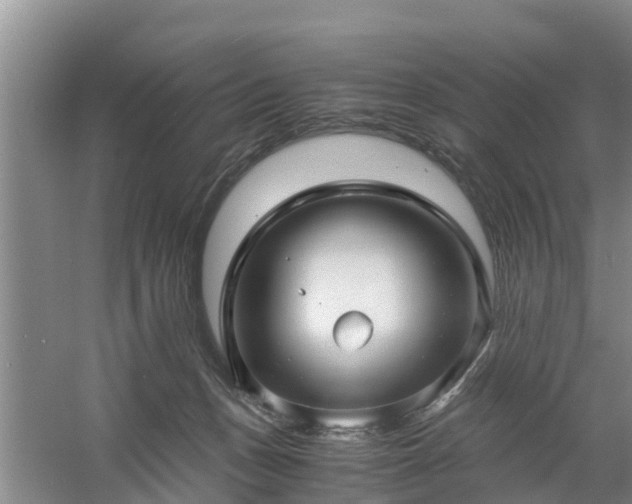 X0000060780175200511141427